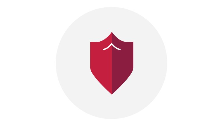 Shield icon